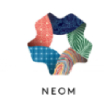 NOEM (1)